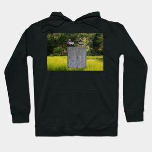 Pelican Times Two Hoodie